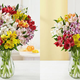 Peruvian Lilies + Free Vase | $25-$35 | 1800Flowers